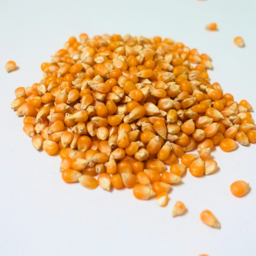 Cin Mısır (popcorn) | 5KG